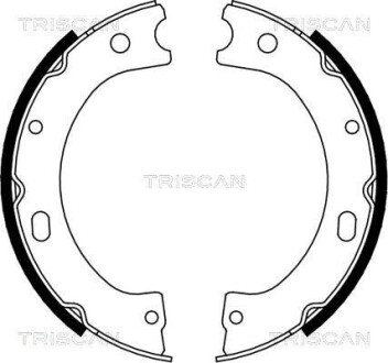 Комплект гальмівних колодок, Стоянкове гальмо TRISCAN 810014011