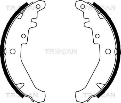 Комплект гальмівних колодок TRISCAN 810015026