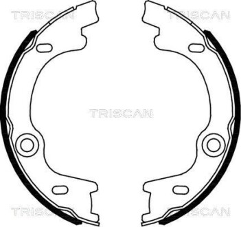 Комплект гальмівних колодок, Стоянкове гальмо TRISCAN 810018010 (фото 1)