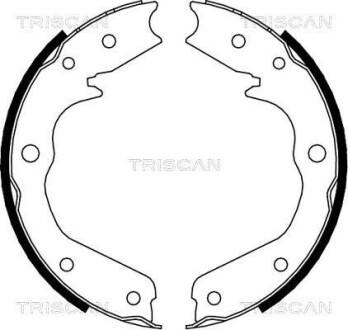 Комплект гальмівних колодок, Стоянкове гальмо TRISCAN 810024002