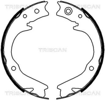 Комплект гальмівних колодок, Стоянкове гальмо TRISCAN 810068003