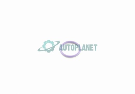 Кольцо уплотнительное системы кондиционера Audi, VW, Skoda, Seat VAG 8E0260749D