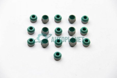 Комплект сальників клапанів VICTOR REINZ 12-31306-01 (фото 1)