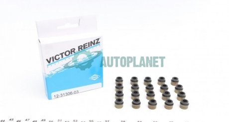 Комплект сальників клапанів VICTOR REINZ 12-31306-03