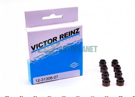 Комплект сальників клапану CITROEN/PEUFEOT/FIAT 2,0HDi 99- VICTOR REINZ 12-31306-07