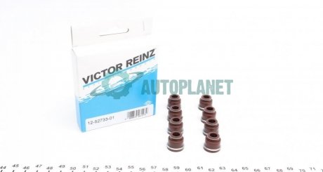 Комплект сальників клапанів VICTOR REINZ 12-52733-01 (фото 1)