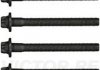 Комплект болтів головки циліндрів VICTOR REINZ 14-32212-01 (фото 2)