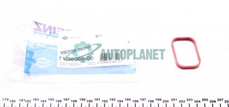 Прокладка впускного колектора VICTOR REINZ 71-36068-00 (фото 1)